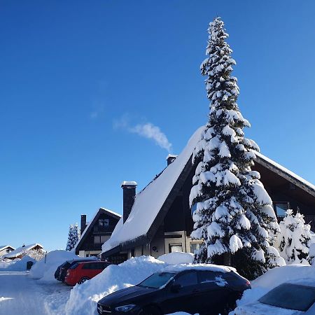 Ferienhaus-Schönwald im Herzen des Schwarzwaldes 1Zimmer Wohnung mit Terrasse App17 Exterior foto