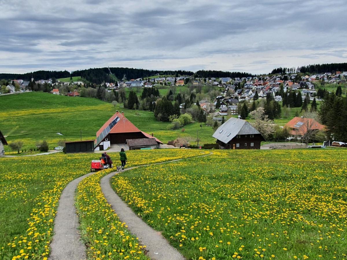 Ferienhaus-Schönwald im Herzen des Schwarzwaldes 1Zimmer Wohnung mit Terrasse App17 Exterior foto