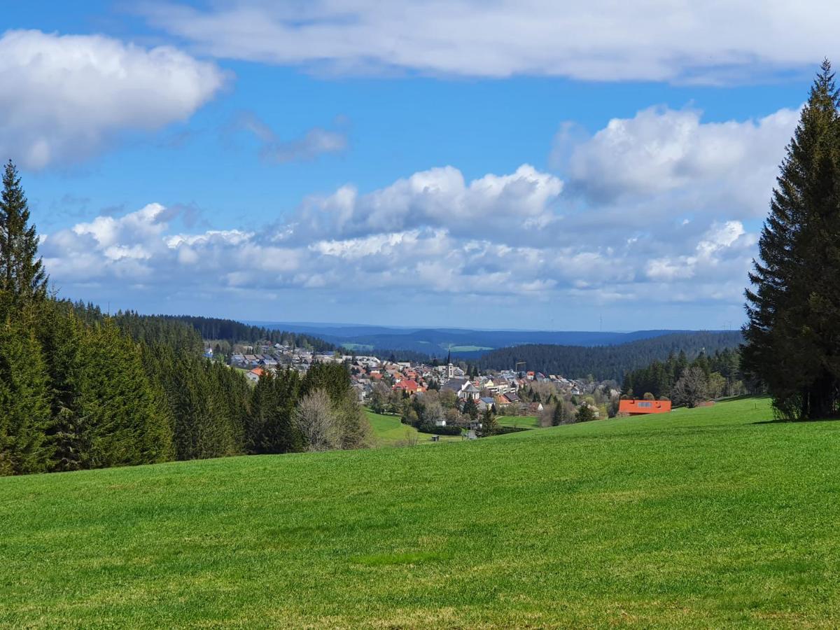 Ferienhaus-Schönwald im Herzen des Schwarzwaldes 1Zimmer Wohnung mit Terrasse App17 Exterior foto